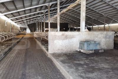 Spațiu comercial, de 3,000 mp, în Central - 2
