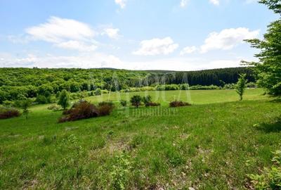 Teren Construcții intravilan de 23200 mp, în Chinteni - 4