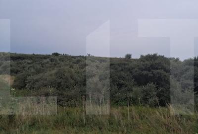 Teren agricol extravilan de 17300 mp, în Soroceni
