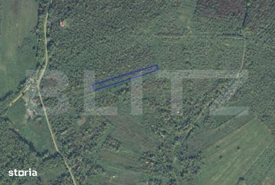 Teren de 2697 mp, în Ardud - 1