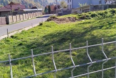 Teren de 1000 mp, în Moieciu - 2