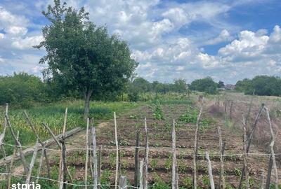 Casă cu 3 camere cu Teren 110 Mp în Central - 4
