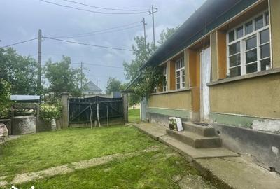 Casă cu 3 camere cu Teren 2472 Mp în Tămășeu - 2