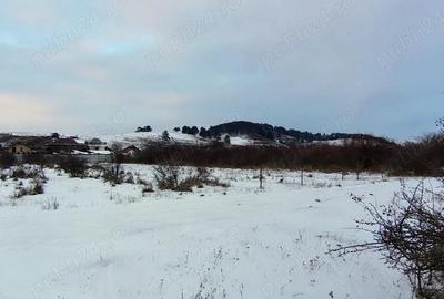 Teren de 800 mp, în Sânpetru