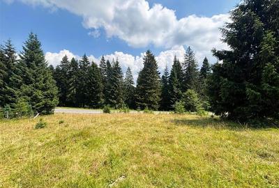 Teren Construcții intravilan de 1000 mp, în Vlădeț - Trei Brazi - 3