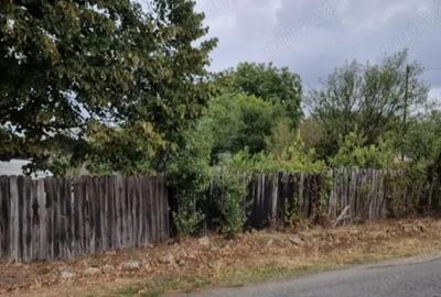 Casă cu 4 camere cu Teren 2700 Mp în Năeni - 2