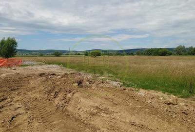 Teren agricol extravilan de 1800 mp, în Avrig - 9