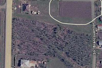 Teren de 1436 mp, în Florica