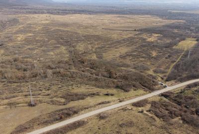 Teren agricol extravilan de 952372 mp, în Constantin Daicoviciu - 12