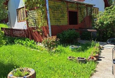 Casă individuală cu 4 camere cu Teren 4000 Mp în Zimbor - 4