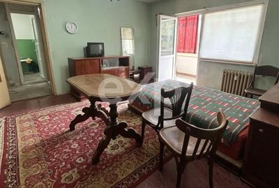 Apartament cu 2 camere semidecomandat în Prundu - 1