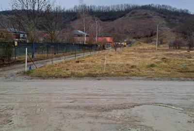 Teren de 6874 mp, în Sub Coastă - 5