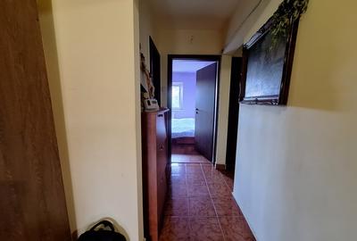 Apartament cu 3 camere decomandat, mobilat în Aradului - 10