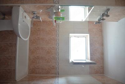 Apartament cu 2 camere decomandat în Cezar Petrescu