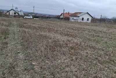 Teren de 2200 mp, în Gruiu - 1