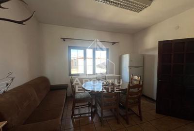 Apartament cu 2 camere semidecomandat în Mehala - 3