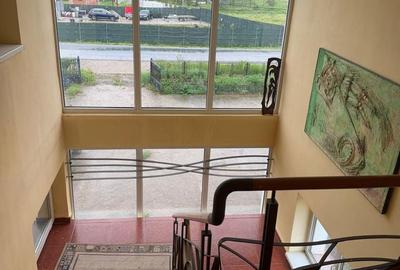 Casă cu 9 camere cu Teren 1575 Mp în Borșa - 14