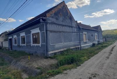 Casă cu 4 camere cu Teren 1600 Mp în Zăgujeni