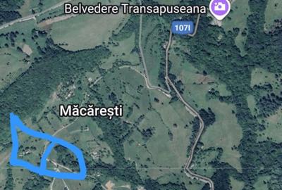 Teren agricol extravilan de 7069 mp, în Măcărești