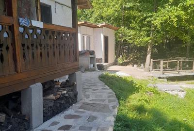 Casă cu 2 camere cu Teren 850 Mp în Central - 10
