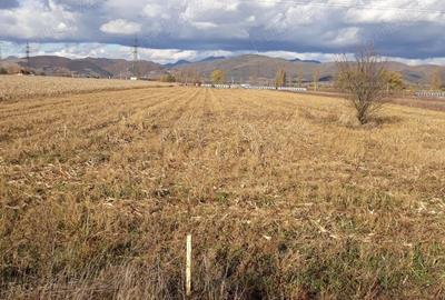 Teren de 7100 mp, în Central