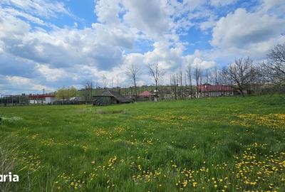 Teren de 2600 mp, în Copou