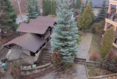 Hotel/Pensiune, de 600 mp, în Agapia - 9
