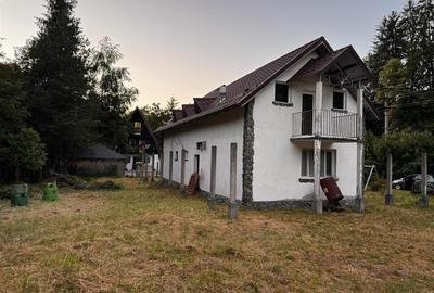 Hotel/Pensiune, de 300 mp, în Cârțișoara - 39