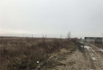 Teren de 10000 mp, în Butimanu - 1