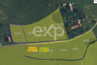 Teren Construcții extravilan de 989 mp, în Poiana Mărului - 6