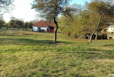 Teren de 2000 mp, în Porumbacu de Sus