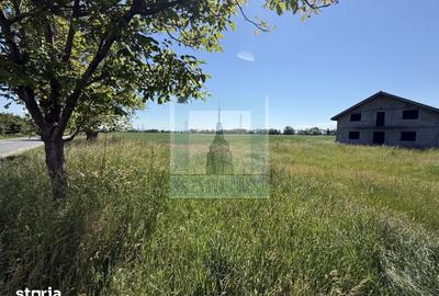 Teren de 50000 mp, în Hălchiu - 2