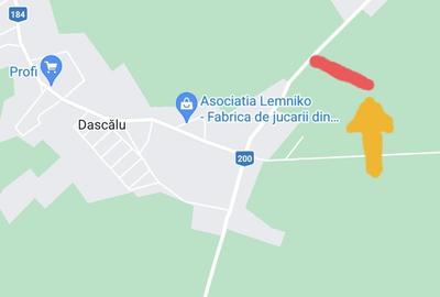 Teren de 5000 mp, în Dascălu