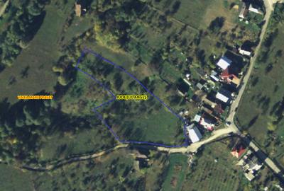 Teren de 5867 mp, în Valea Mare - 6