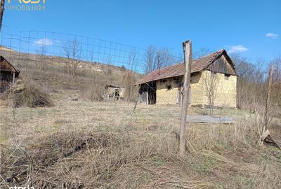 Casă cu 2 camere în Hagău