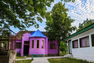 Casă cu 4 camere în Vărădia de Mureș - 8