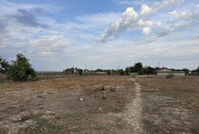 Teren de 2500 mp, în Ceamurlia de Jos