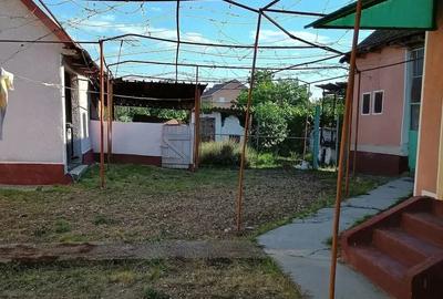 Casă cu 4 camere cu Teren 1300 Mp în Șicula - 2