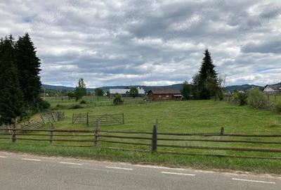 Teren de 4000 mp, în Dorna-Arini