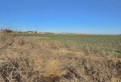 Teren Construcții intravilan de 9653 mp, în Eforie Nord - 5