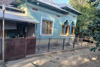 Casă cu Teren 1590 Mp în Strejești