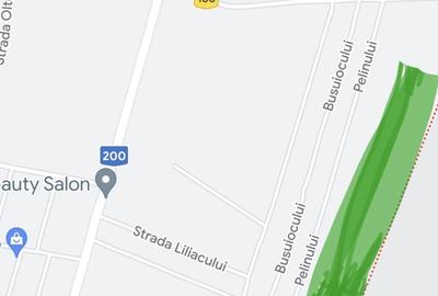 Teren de 18000 mp, în Dascălu - 1
