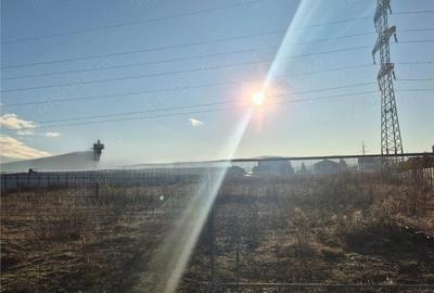 Teren de 10600 mp, în Viișoara - 2