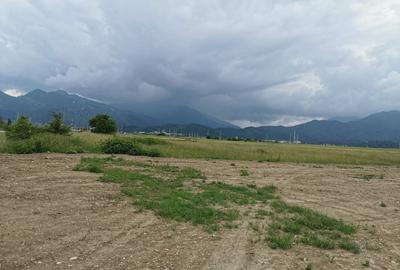 Teren Construcții intravilan de 7348 mp, în Uzina 2 - 6