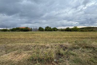 Teren de 1400 mp, în Vlad Țepeș - 9