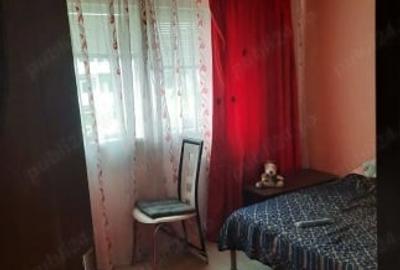 Apartament cu 2 camere semidecomandat, mobilat în Brazda lui Novac - 2