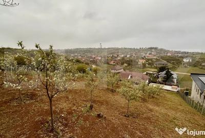 Casă cu 5 camere cu Teren 1988 Mp în Oncea - 14