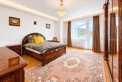 Casă individuală cu 8 camere cu Teren 750 Mp în Baia de Fier - 13