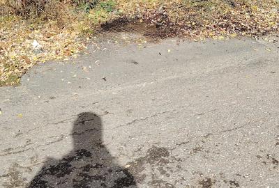 Teren de 2500 mp, în Central