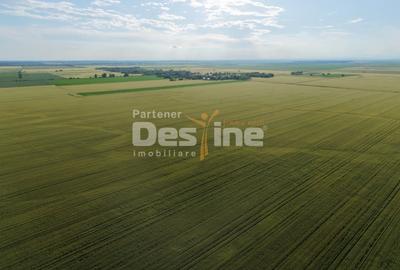 Teren agricol extravilan de 41225 mp, în Dumbrava - 7
